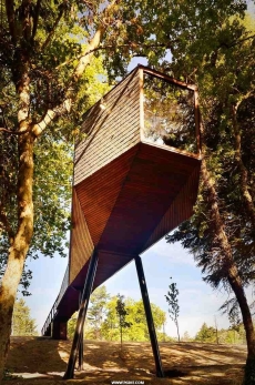 森林蛇形树屋（Tree Snake Houses）