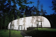 动力分析研究中心（Liège Centre for Group Dynamics and Institutional)