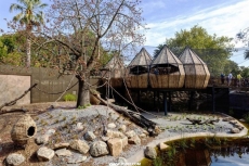 狐猴展馆(Lemur Exhibit)