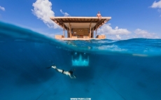 奔巴岛海上漂浮旅馆（The Manta Underwater Room）